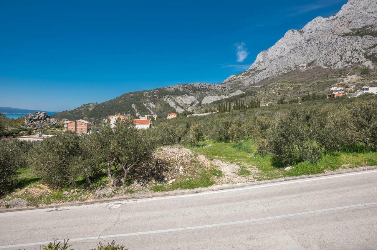 Vila Branka Makarska Buitenkant foto